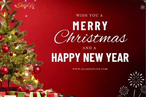 What is the The Purpose of Christmas - Why God sent Jesus Christ